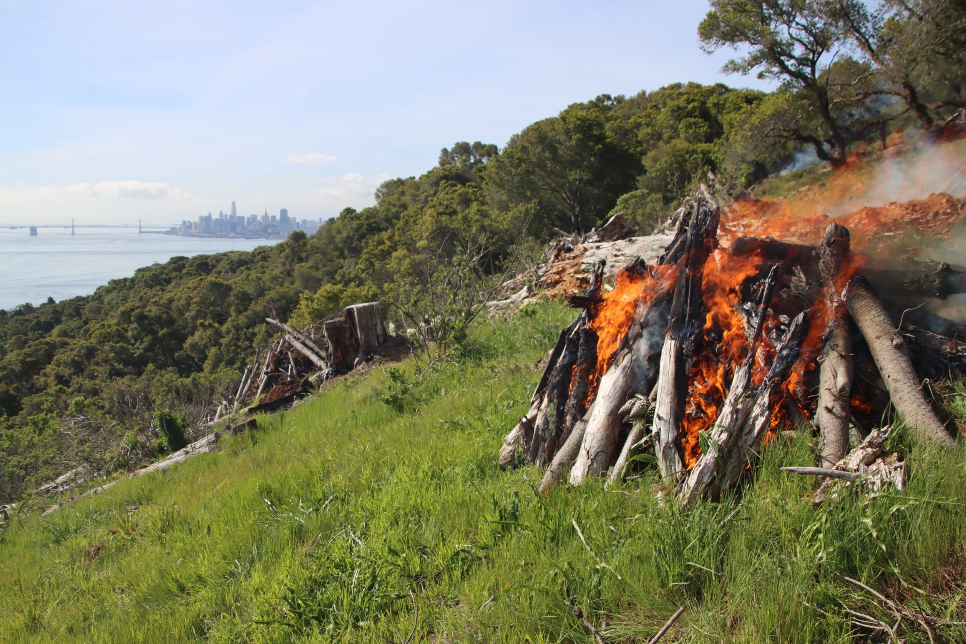 A pile burn conducted on Angel Islan State Park in 2023